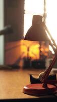 A table with a lamp and a potted plant on it video