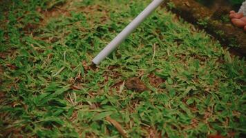 Close-up of a white pipe lying on vibrant green grass with visible soil and foliage textures. video