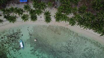 Top view of lagoon with beach and palm trees, Philippines, Palawan video