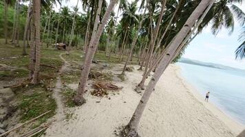 FPV drone flies through palm trees and bungalows on the beach video