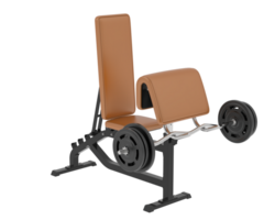 Arm curl bench isolated on background. 3d rendering - illustration png