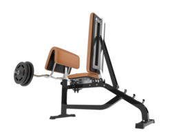 Arm curl bench isolated on background. 3d rendering - illustration png