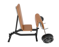 Arm curl bench isolated on background. 3d rendering - illustration png