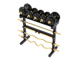 Weight rack isolated on background. 3d rendering - illustration png