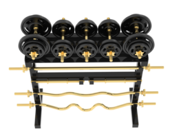 Weight rack isolated on background. 3d rendering - illustration png
