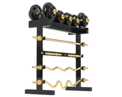 Weight rack isolated on background. 3d rendering - illustration png