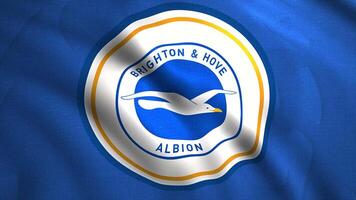 Seamless loop wavy motion of a blue football club flag with a white seagull. Motion. The emblem of the Brighton and Hove Albion football club. For editorial use only. video