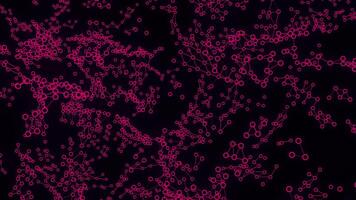 Concept of artificial intelligence and neural science. Design. Cloud of connected pink cells on a black background, seamless loop. video