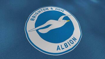 Seamless loop wavy motion of a blue football club flag with a white seagull. Motion. The emblem of the Brighton and Hove Albion football club. For editorial use only. video