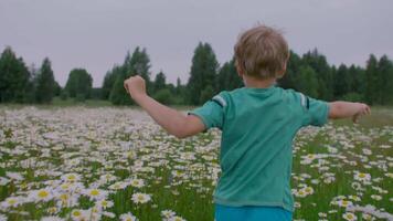 un' ragazzo in esecuzione attraverso un' campo con margherite. creativo. un' piccolo bambino con lungo Marrone capelli corre attraverso un' campo con bianca piccolo fiori nel davanti di alto alberi nel davanti di un' blu nuvoloso cielo. video