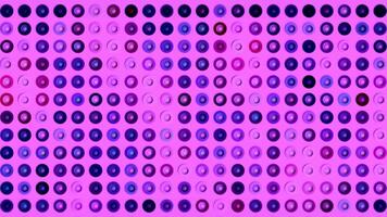 Colorful abstract background with equalizer disco animated circles, seamless loop. Motion. Led stage concert lights wall of bright pink color with shimmering circles. video