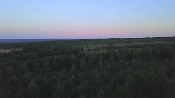 antenn Drönare se över de blandad skog. klämma. flyg ovan ändlös trädtopparna, naturlig landskap på skön himmel bakgrund. video