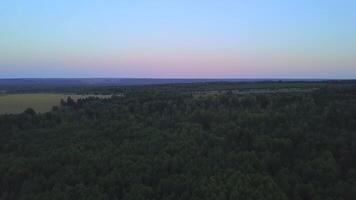 Top view of panorama of forest and horizon with dawn sky. Clip. Beautiful panorama of early dawn sky over forest. Green forest and gloomy sky on summer morning video