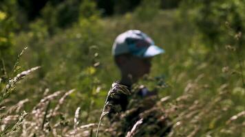 porträtt av en omtänksam liten pojke stående i lång gräs. kreativ. söt pojke barn i de sommar äng under de lysande Sol. video