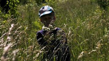 Portrait of a little bot standing with his eyes closed in long grass. Creative. A boy in a summer meadow with the grass swaying in the wind. video