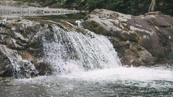 skön naturlig vattenfall av flod i skog. kreativ. flod ström vänder in i vattenfall och fortsätter strömmande. sten landskap av flod former vattenfall video