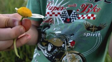 The boy is holding a flower in his hands. CREATIVE. A small child sniffs a chamomile and tears off the petals. Close shot of baby's face and flower video