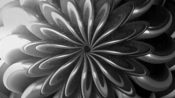 Psychedelic animation with floral pattern. Motion. 3D pattern of moving petals of abstract flower. Floral pattern with many changing petals video