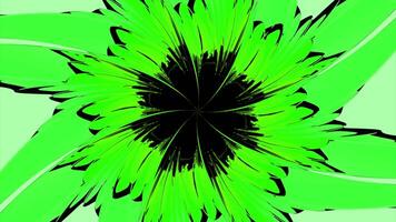 Green and pink background. Design. A bright abstraction like a flower that rotates around its axis . video