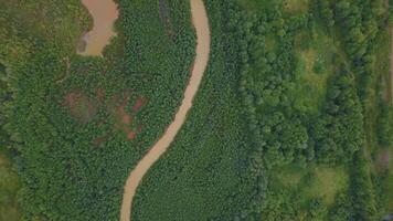 A huge dirty river in the forest. The view from the drone. Clip. A huge curving dirty river with petroleum products that flows next to a huge green forest and several small houses for people are video