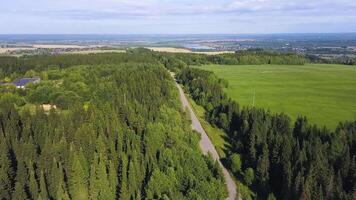 Maravilhoso panorama Visão a partir de uma olho do pássaro visualizar. grampo. uma verão verde floresta com uma estrada para carros Próximo para a campo e dentro a fundo uma pequeno provincial Cidade com Campos e pequeno casas video