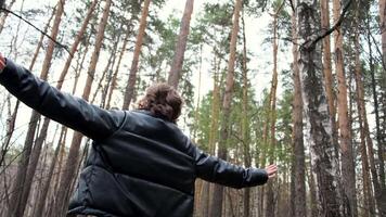 mooi vrouw wandelen in de Woud en uitrekken handen naar de bomen. concept. vrijheid en harmonie, meisje met gekruld haar- genieten van eenzaamheid in pijnboom boom Woud. video