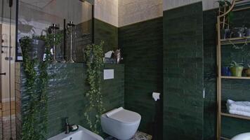 elegante baño diseño con moderno accesorios. creativo. hermosa diseño soluciones en lujoso baño interior. costoso baño con verde sombras de loseta video