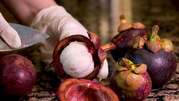 das Koch öffnet mit ein klein Messer schneidet das Mangostan mit seine Hand zeigen Das Innerhalb ist ein tropisch exotisch Obst Küche abwechslungsreich richtig Ernährung im warm Länder teuer Früchte video