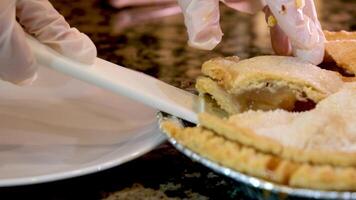 délicieux dessert pièce de cannelle Pomme tarte saupoudrer avec en poudre sucre sur une blanc assiette avec fourchette dans café. fruit gâteau. ensoleillé Matin petit déjeuner. video