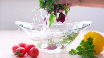 Super Slow Motion Shot of Flying Cuts of Colorful Vegetables and Water Drops on Black background video