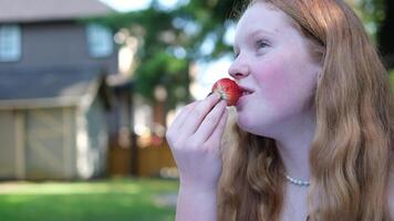 Pelirrojo niña come fresas en naturaleza contento niña comiendo fresas en verano en jardín. delicioso fresa postre. video