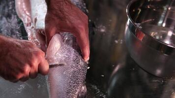 Sprinkling salt and spices on raw salmon fillet. Slow motion. Salting red fish. Seasoning salmon steak. Chef adding spices on raw salmon steak before baking. Raw salmon Fillet or red fish steak. Full video