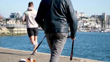 Vancouver, avanti Cristo, Canada. david lam parco camminare con cani nel parco animale vita correre comunicare cani ottenere per conoscere ogni altro camminare respirare fresco aria il telecamera spara giù il gambe di persone e vario animali domestici video