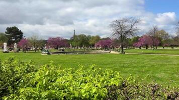 près le persienne dans une magnifique parc des arbres fleuri 12.04 22 Paris France video