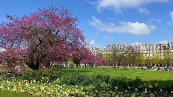 vicino il persiana di ventilazione nel un' bellissimo parco alberi fiorito 12.04 22 Parigi Francia video