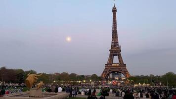 eiffel torre dentro outono Paris França cênico Visão do a eiffel torre sobre a árvores cerco em uma brilhante dia dentro Paris França 3d animação chamas e pássaros video