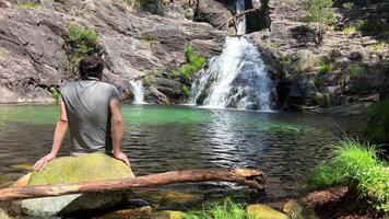 een donker haar Mens zit met zijn terug naar de camera en looks Bij de waterval en de water hij zit Aan een steen gekleed in een grijs t-shirt video