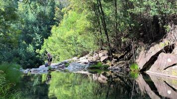 in Portugal in een berg rivier- na het baden een Mens jurken mooi natuur transparant water ten volle spiegels de lucht en bomen video