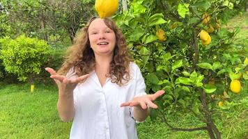 menina adolescente ter Diversão dançando sorrisos e risos contra a pano de fundo do uma limão árvore dentro dela mãos ela tem limões ela tolos por aí com eles video