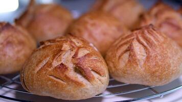 brood van pompoen brood. eigengemaakt volkoren rogge gistvrij brood Aan een wit gestreept handdoek video