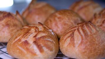 fresh homemade bread close up modern food background.bread of various shapes is on the showcase.close-up. video