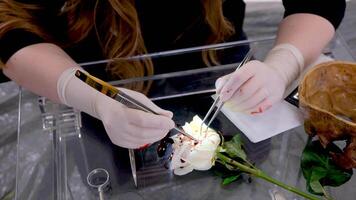 woman doing surgery showing demonstrating scalpel and a holder next to a skull blank space for text surgical latex gloves black clothes doctor's green cap Illuminator with safety glasses and binocular video