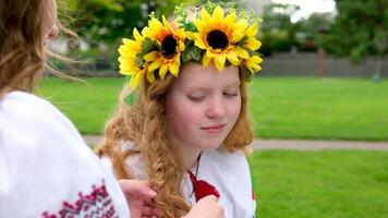 fest flätning två flickor i natur i broderad shirts röd hår söt ukrainska flicka med lång fläta, i traditionell broderad kläder och blomma krans med gul och blå band. video