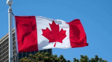 nahtlos Schleifen animiert Flagge von Kanada weht im das Wind im 4k Auflösung einschließlich Luma matt video
