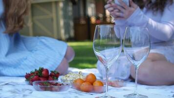 amiche amici lgbt relazioni Due ragazze nel Canada su un' picnic sedersi su il erba su un' stuoia, mangiare frutta e bevanda succo video