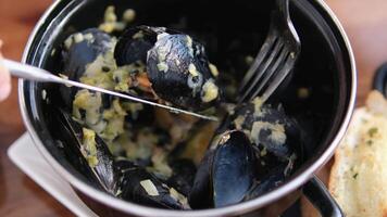 Sea mussels cooked with herbs sprinkled with dill rotating slow motion, a person picks up a steamed mussel from a plate. video