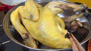 vietnamita domestico pollo Bollire il giallo pollo nel acqua, lacrima esso in pezzi, Inserisci erbe aromatiche e riso cena nel Asia nel ho chi minh città, donna preparazione famiglia cena indossare monouso guanti video