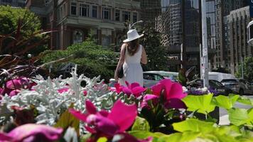 une fille dans une blanc robe des promenades le long de le digue de Vancouver dans Canada en marchant dans le ville centre en voyageant dans une gros chapeau dans le été video