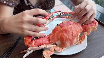 un' ragazza mangia un' grande neve Granchio nel un' ristorante, esamina il enorme artigli, prende fotografie, e scrive un' blog di il corretta taglio di frutti di mare. video