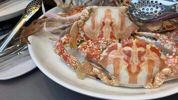 Crab cutting knife Hand of chef in restaurant during cut and removing shell of big size streamed crab before serve to the customer. video